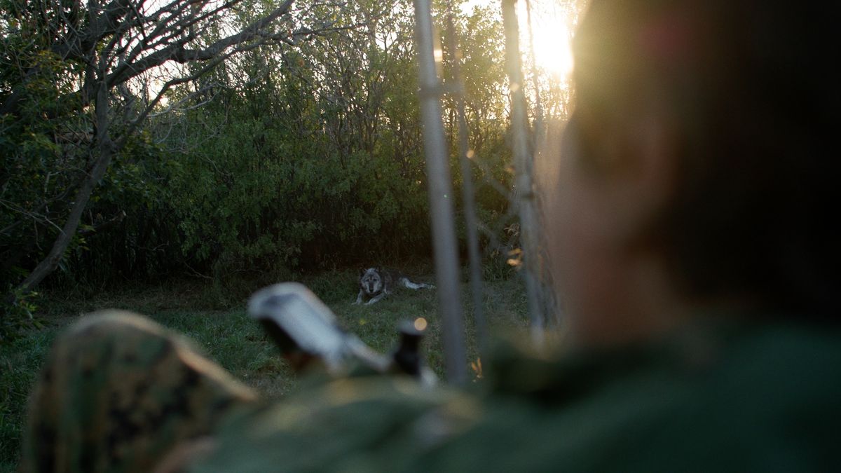 The Last Howl night frame