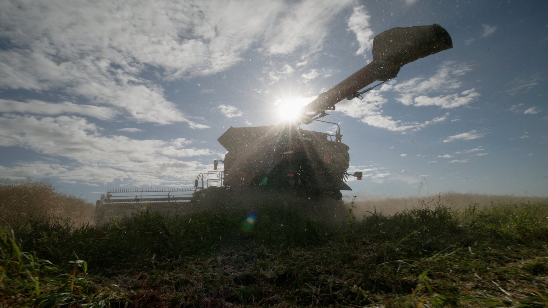 Low angle combine against sun — Case IH